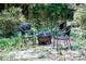 Cozy backyard fire pit area with chairs surrounded by lush greenery and a beautiful ivy wall at 5304 Cypress Ln, Raleigh, NC 27609