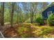 Large backyard view with moss, grass, trees, and landscaping at 6321 Malvern Ln, Hillsborough, NC 27278