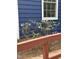 A shrub adds a touch of charm to the siding of this house at 6321 Malvern Ln, Hillsborough, NC 27278