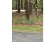 Landscaped front yard featuring purple flowers lining a sidewalk at 6321 Malvern Ln, Hillsborough, NC 27278