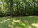 Lush backyard with mature trees offering privacy and shade at 6760 Keansburg Rd, Gibsonville, NC 27249