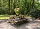 Picnic table with potted plants provides a relaxing outdoor space at 6760 Keansburg Rd, Gibsonville, NC 27249