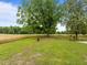 Expansive backyard featuring mature trees, a playset, picnic tables and plenty of room for outdoor enjoyment at 7042 Us 401 Highway N, Fuquay Varina, NC 27526
