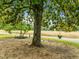 Backyard with mature trees and swing set at 7042 Us 401 Highway N, Fuquay Varina, NC 27526