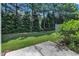 Lush, green backyard featuring mature trees and privacy hedges, creating a serene outdoor space at 211 Westgrove Ct, Durham, NC 27703