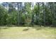 View of the lush backyard featuring a manicured lawn, and mature trees at 2264 Jollay St, Durham, NC 27703