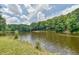 Scenic view of a tranquil lake with green trees in the background under a cloudy sky at 110 Wolfs Trl, Chapel Hill, NC 27516
