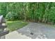 A view from the porch showing a large yard with mature trees and lush green grass at 110 Wolfs Trl, Chapel Hill, NC 27516