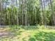 View of the backyard featuring a grassy lawn, chain link fence, and dense trees at the back at 117 Renee Dr, Smithfield, NC 27577