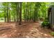 Wooded lot featuring stone steps leading to the backyard and to the home surrounded by lush trees at 120 Polks Landing Rd, Chapel Hill, NC 27516