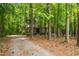 Quaint home surrounded by a tranquil forest, showcasing a peaceful retreat with a private driveway at 120 Polks Landing Rd, Chapel Hill, NC 27516