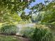 View of a tranquil pond surrounded by trees and foliage at 122 N Fern Abbey Ln, Cary, NC 27518