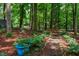 Scenic backyard with a winding natural path, complemented by lush greenery and mature trees at 128 Shadowbrook, Pittsboro, NC 27312