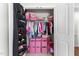 Organized closet featuring shelving, hanging racks, and compartments for efficient storage solutions at 145 Bounding Ln, Youngsville, NC 27596