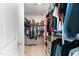Spacious walk-in closet with ample storage, carpet floors and a well-organized space for clothes and accessories at 145 Bounding Ln, Youngsville, NC 27596