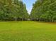 Expansive backyard with mature trees and a well-manicured lawn, offering serene privacy at 1624 Hopkins Rd, Bahama, NC 27503