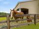 Horses standing by a wooden fence with a shelter behind at 1624 Hopkins Rd, Bahama, NC 27503