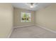Bright bedroom featuring neutral paint, plush carpet, ceiling fan, and large sunlit window at 2117 Crockett Ridge Rd, Fuquay Varina, NC 27526