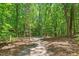 A wooded lot offering a serene and private setting with a well-worn walking path through the lush greenery at 9257 Sauls Rd, Raleigh, NC 27603