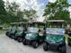 Row of green golf carts parked neatly against a backdrop of trees and a bright, cloudy sky at 95113 Vance Knls, Chapel Hill, NC 27517