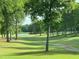 Scenic golf course view with a pathway, green grass, trees, and a glimpse of the lake at 95113 Vance Knls, Chapel Hill, NC 27517