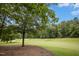 Scenic golf course with a lush tree line and clear blue sky, offering a tranquil outdoor setting at 95113 Vance Knls, Chapel Hill, NC 27517