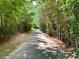 Scenic view of a paved path surrounded by lush trees, offering a peaceful walk at 119 Palace Grn, Cary, NC 27518