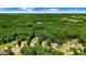 Aerial view showcasing several homes surrounded by a dense green forest and blue sky at 1304 Double Oak Ln, Willow Springs, NC 27592
