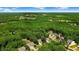 Scenic aerial view of a neighborhood surrounded by green trees and nature on a sunny day with blue sky at 1304 Double Oak Ln, Willow Springs, NC 27592