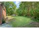 Spacious backyard featuring a storage shed, greenery, and wooded area, offering privacy at 1411 Hudson Ave, Durham, NC 27705