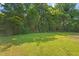 Lush green backyard with dense trees at 1411 Hudson Ave, Durham, NC 27705