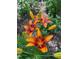 Striking close-up of vibrant orange lilies with maroon speckles in a lush green garden setting at 1605 Valley Run, Durham, NC 27707