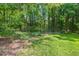 Lush backyard with healthy grass, raised garden beds, and a disc golf basket at 3806 Lochnora Pkwy, Durham, NC 27705