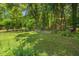 Lush backyard with healthy grass, raised garden beds and a disc golf basket at 3806 Lochnora Pkwy, Durham, NC 27705
