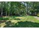 Expansive, lush backyard featuring mature trees, green grass, and a charming brick pathway at 608 Misty Isle Pl, Raleigh, NC 27615