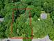 Aerial view of tree-covered property lines, highlighting the boundaries of the secluded lot at 608 Misty Isle Pl, Raleigh, NC 27615