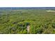 Overhead view of a residence nestled among a dense, green forest, providing seclusion and natural beauty at 62 Mountain Laurel Ln, Four Oaks, NC 27524