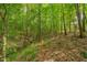 Wooded backyard with a dense tree coverage at 62 Mountain Laurel Ln, Four Oaks, NC 27524