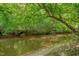 A tranquil creek with tree canopy, offering a serene waterside nature view at 62 Mountain Laurel Ln, Four Oaks, NC 27524