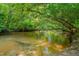 Tranquil creek flowing through a lush, green wooded area at 62 Mountain Laurel Ln, Four Oaks, NC 27524