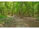 A serene wooded area with lush green trees and natural foliage, offering a peaceful retreat at 62 Mountain Laurel Ln, Four Oaks, NC 27524