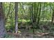 Backyard creek area with trees, foliage and wooded scenery at 6509 Conaway Ct, Wake Forest, NC 27587