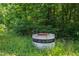 Utility access point in the middle of a heavily wooded area at 7104 Camp Branch Ln, Apex, NC 27502