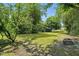Large backyard with green grass and lots of tree coverage at 1006 E Harnett St, Dunn, NC 28334