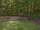 Large backyard enclosed with a chain-link fence surrounded by trees at 1230 Piney Glen Ln, Zebulon, NC 27597