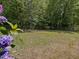 Backyard enclosed by a chain-link fence with lush trees and purple flowers in the foreground at 1230 Piney Glen Ln, Zebulon, NC 27597