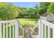 Backyard with lush green lawn, trees, shed, and a white fence at 307 W Austin St, Mebane, NC 27302