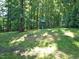 Spacious backyard featuring lush greenery, mature trees, and a play set for outdoor enjoyment at 3650 Pleasants Ridge Dr, Wake Forest, NC 27587