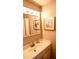 Well-lit bathroom featuring vanity with a white countertop, decorative artwork and mirrored medicine cabinet at 3832 Doeskin Dr, Apex, NC 27539
