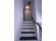 Staircase with a white base and black treads leading to white doors and light-colored carpet at 3832 Doeskin Dr, Apex, NC 27539